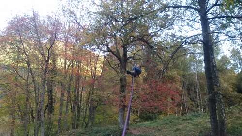 20171018_173458.jpg
